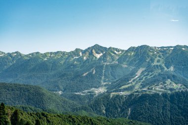 Yeşil orman manzaralı dağların manzarası