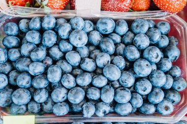 Yukardan çekilen temiz plastik tepside yabanmersini