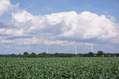 Köyün yakınındaki yel değirmenleri. Köyün yakınındaki yel değirmenleri.