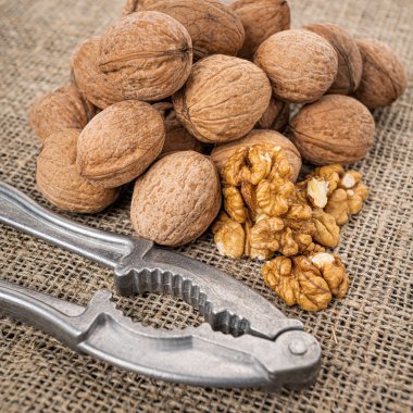 Ceviz çekirdeği arka planı. Cevizli fındıkkıran