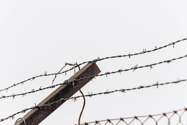 Barbed wire on the fence. — Stock Photo, Image