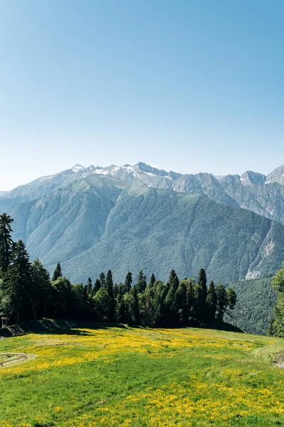 Vista de Montanhas com paisagem verde floresta — Fotografia de Stock