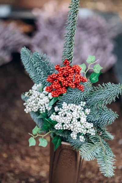 Zierpflanze im Topf mit Nadeln und roten und weißen Beeren — Stockfoto