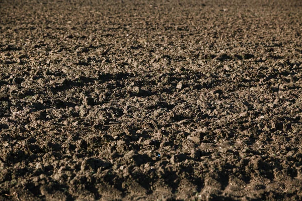 Gepflügtes Feld. Hintergrund von einem gepflügten Feld — Stockfoto