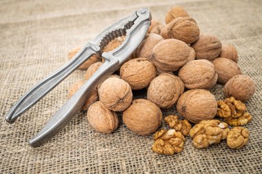 Taze ceviz arkaplanı. Doğal ceviz arkaplanı