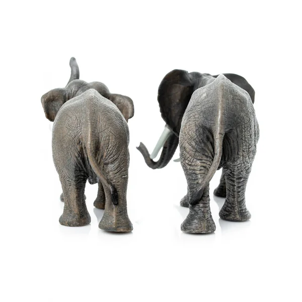 Słoń izolowany na białym tle — Zdjęcie stockowe
