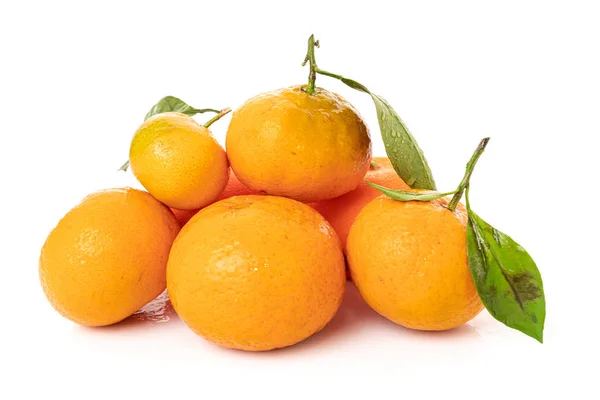 Tangerinas com folhas sobre um fundo branco — Fotografia de Stock