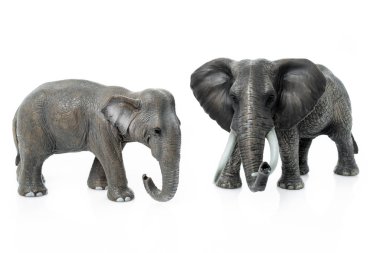 Elephant Family  isolated on white background.  elephant toys
