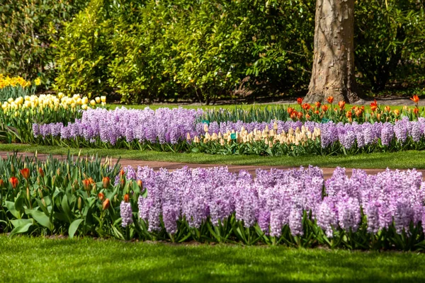 Prachtige parktuin in het voorjaar. Formele tuin — Stockfoto