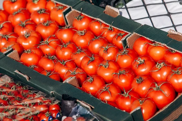 Много помидоров в коробках. Красивые красные помидоры в продаже — стоковое фото