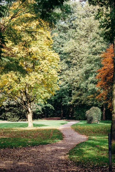 Caminho no Parque. Verde é um belo parque. Vista do parque — Fotografia de Stock