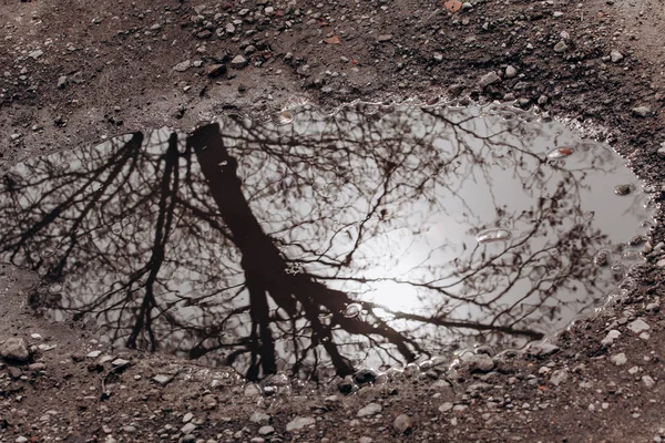 Grande buca piena di acqua, albero e nuvole riflessione — Foto Stock