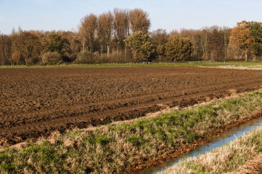 Ağaçların yanındaki tarlayı sürdüm. Tarlanın arka planındaki ağaçlar