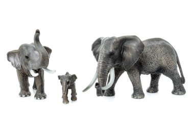 Elephant Family  isolated on white background.  elephant toys