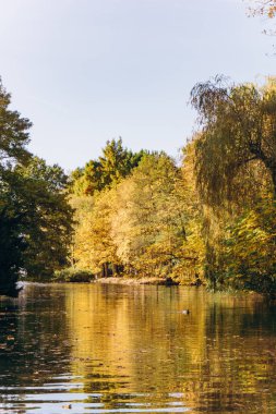Göldeki ağaçların yansıması. Göl manzarası çok güzel. Güzel sonbahar manzarası