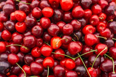 Yapraklı ve saplı kiraz yığını. Büyük bir taze kırmızı kiraz koleksiyonu. Olgun kiraz arkaplanı.