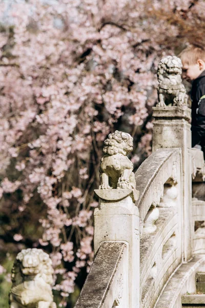 Starověký živý kámen lev na mostě v Číně — Stock fotografie