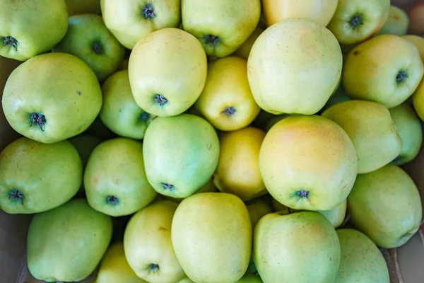 Achtergrond van groene appels. Heel veel groene appels. Mooie achtergrond van groene appels — Stockfoto