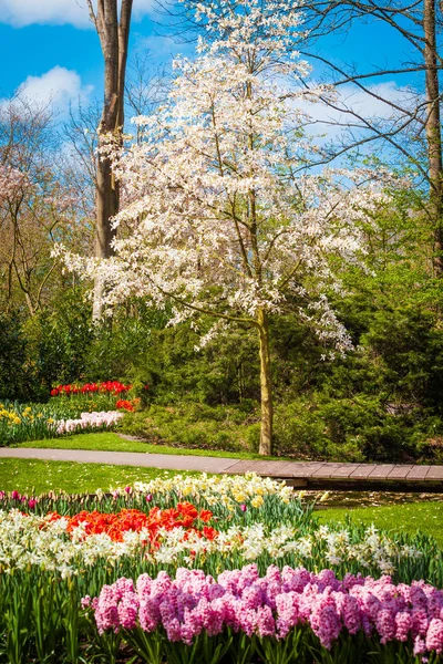 Gyönyörű park kert tavasszal. Formális kert — Stock Fotó