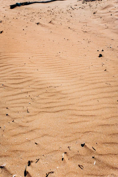 Hermosas dunas en el desierto —  Fotos de Stock