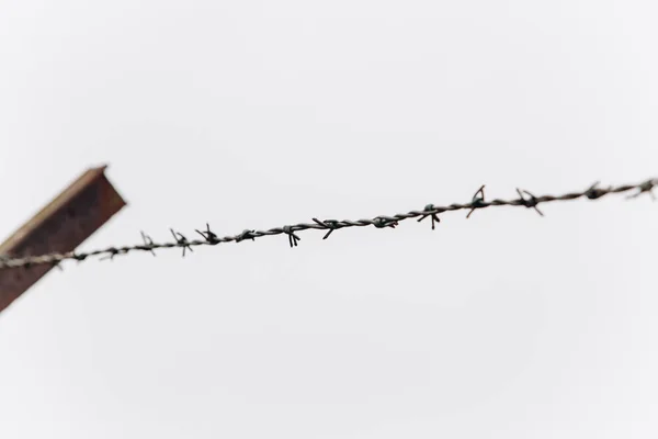Barbed wire on the fence. — Stock Photo, Image