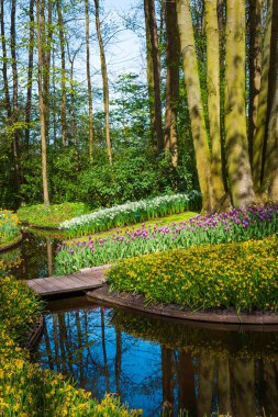 Bahar Arkaplanı. Bahar Çiçekleri. Güzellik doğal arka plan