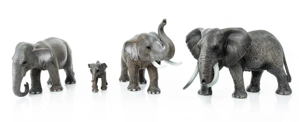 Семья слонов изолирована на белом фоне. слоновьи игрушки — стоковое фото
