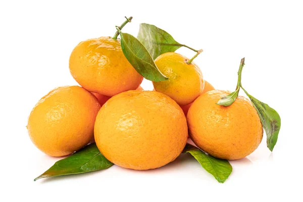 Tangerinas com folha isolada sobre fundo branco — Fotografia de Stock