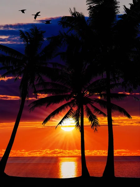 Palmy i piękny krajobraz nieba. Podróże, turystyka, wakacje — Zdjęcie stockowe