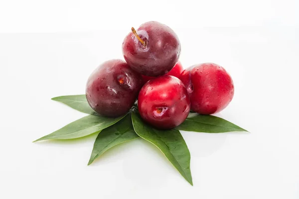 Ciruelas con hojas de ciruela aisladas sobre un fondo blanco — Foto de Stock