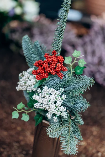 Planta Ornamental Cultivada Maceta Con Agujas Bayas Rojas Blancas —  Fotos de Stock