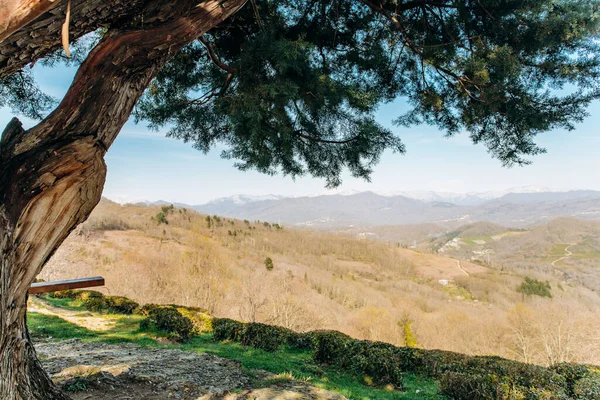 Vista Sulle Montagne Dietro Grande Albero Una Roccia — Foto Stock