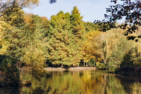 Reflectie Van Bomen Het Meer Prachtig Landschap Aan Het Meer — Stockfoto