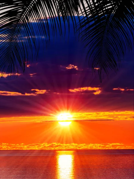 Prachtige Zonsondergang Het Strand Zee — Stockfoto