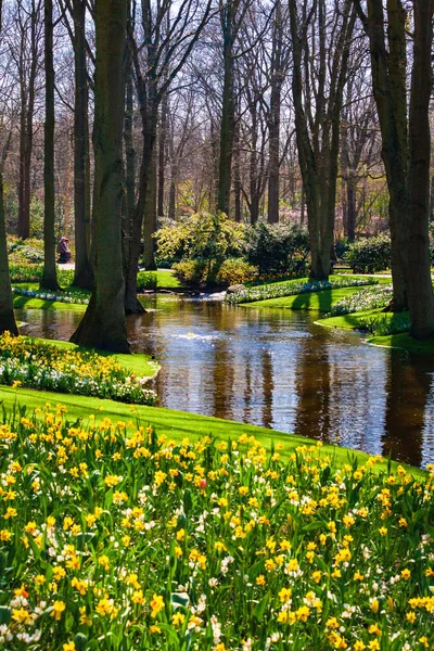 Park Het Voorjaar Voorjaarsachtergrond — Stockfoto