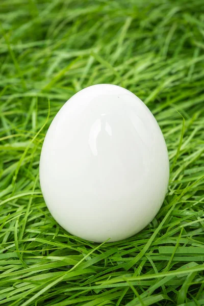 White Chicken Egg Lies Green Grass — Stock Photo, Image