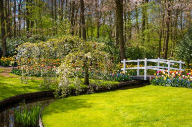 Baharda güzel bir park bahçesi. Resmi Bahçe 
