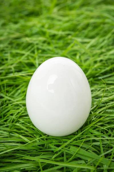 White Chicken Egg Lies Green Grass — Stock Photo, Image