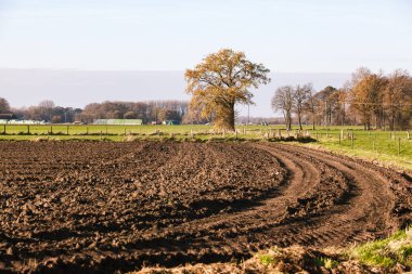 Ağaçların yanındaki tarlayı sürdüm. Tarlanın arka planındaki ağaçlar