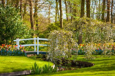 Bahar Arkaplanı. Bahar Çiçekleri. Güzellik doğal arka plan