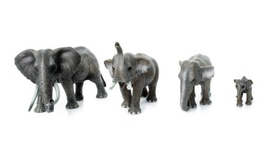 Elephant Family  isolated on white background.  elephant toys