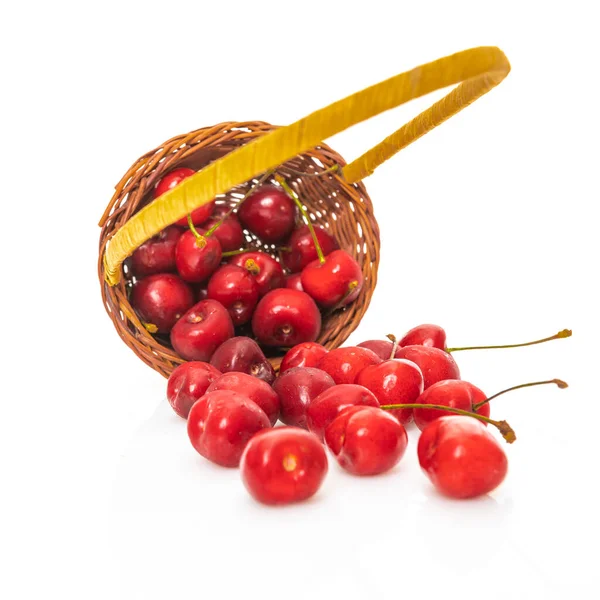 Cherry Basket Isolated White Background — Stock Photo, Image