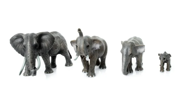 Famille Des Éléphants Isolé Sur Fond Blanc Jouets Éléphant — Photo