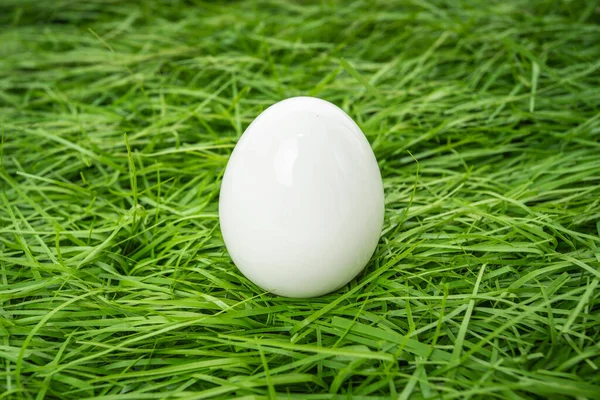 Beyaz Tavuk Yumurtası Yeşil Çimlerin Üzerinde Yatıyor — Stok fotoğraf