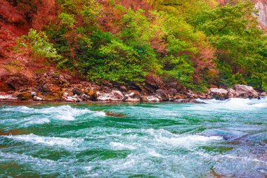 Güzel manzara, doğa. Orman dağı ve mavi dere, güzellik manzarası arka plan.