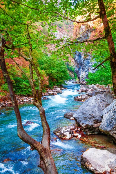 Гірська Річкова Долина — стокове фото