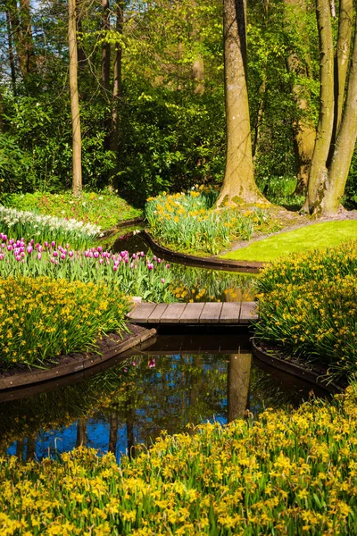 Voorjaar Achtergrond Voorjaarsbloemen Schoonheid Natuurlijke Achtergrond — Stockfoto