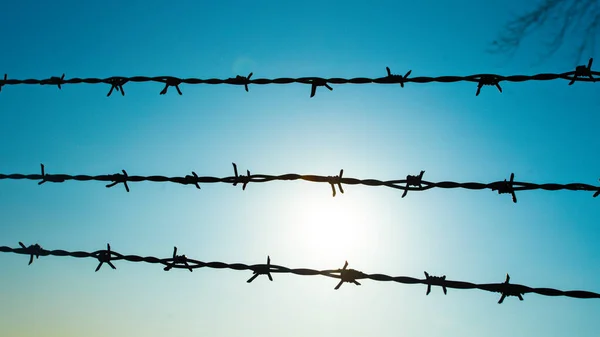 Barbed Wire Fence Blue Sky Feel Worrying — Stock Photo, Image