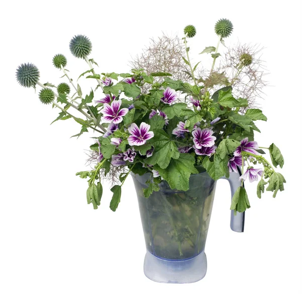Bouquet van veldbloemen distel — Stockfoto