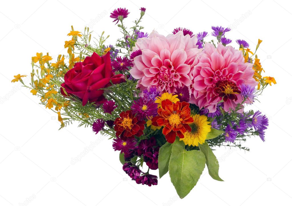 September Europäische Blumen isoliert — Stockfoto © vilaxlt 130065728